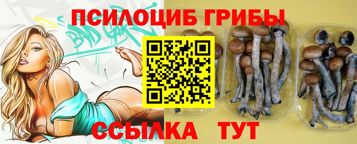 Галлюциногенные грибы прущие грибы Переславль-Залесский