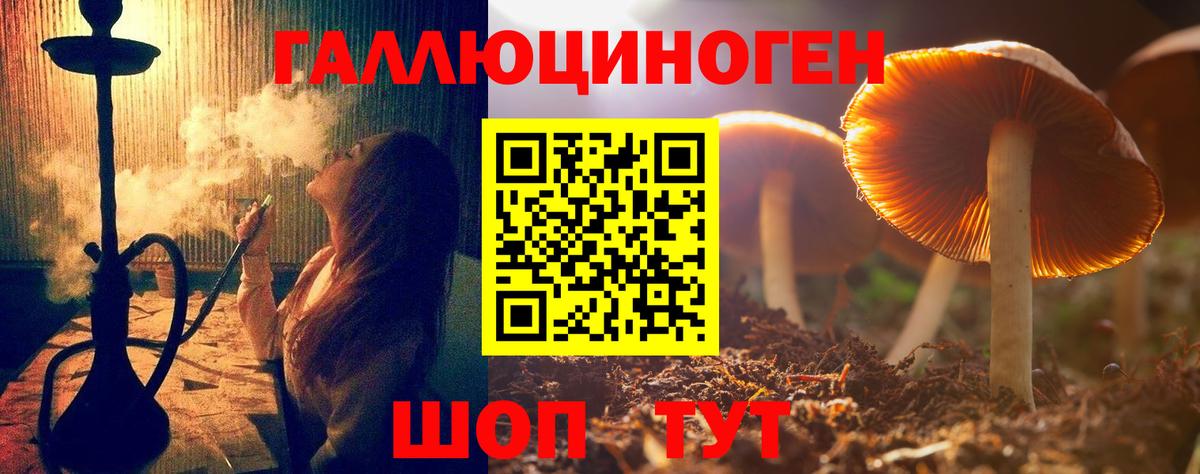 Переславль-Залесский  Галлюциногенные грибы Cubensis  Вход с VPN 